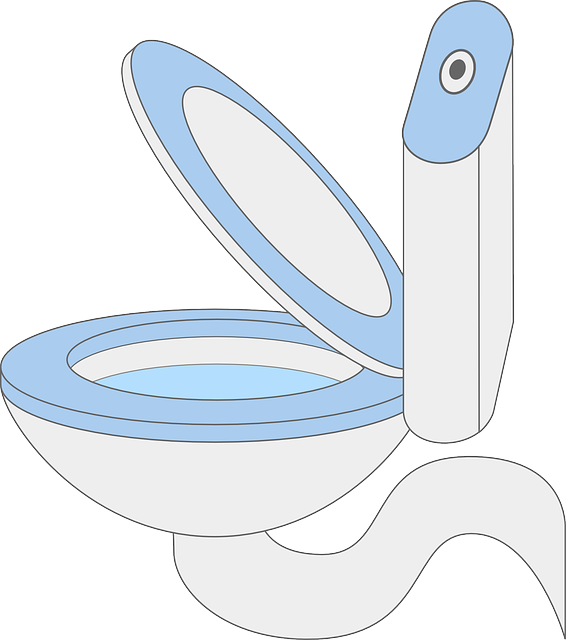 How to Unclog a Toilet with Baking Soda