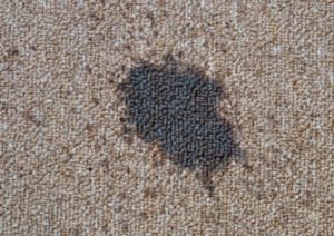 How to Clean Carpet Stains with Baking Soda - Homeaholic
