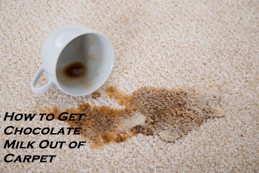 How to Get Chocolate Milk Out of Carpet