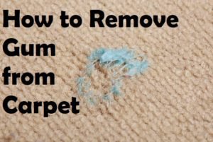 How to Remove Gum from Carpet - Homeaholic