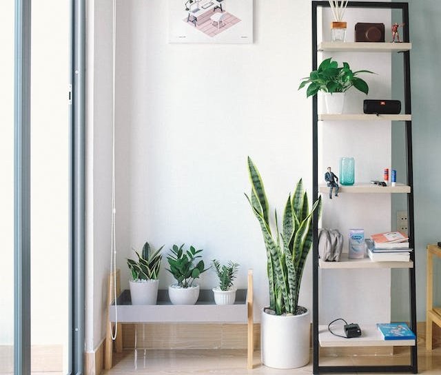 Elevate Your Home’s First Impression with Stunning Entryway Decor